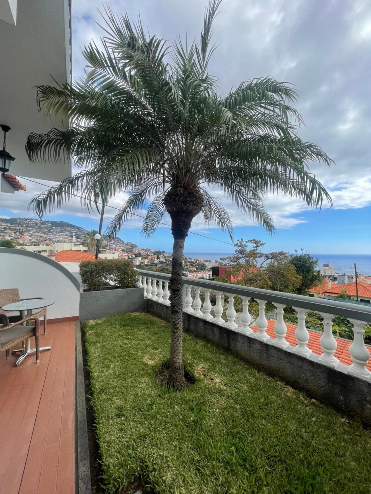 Valhalla Panorama - The Old Residencial Pina Funchal  Kamer foto
